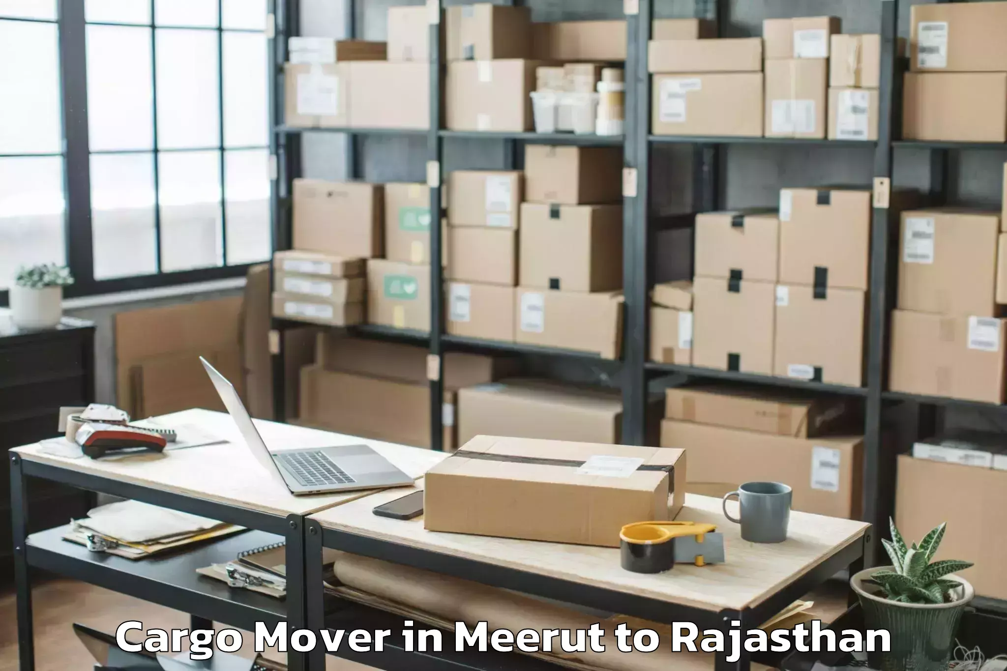 Professional Meerut to Mandalgarh Cargo Mover